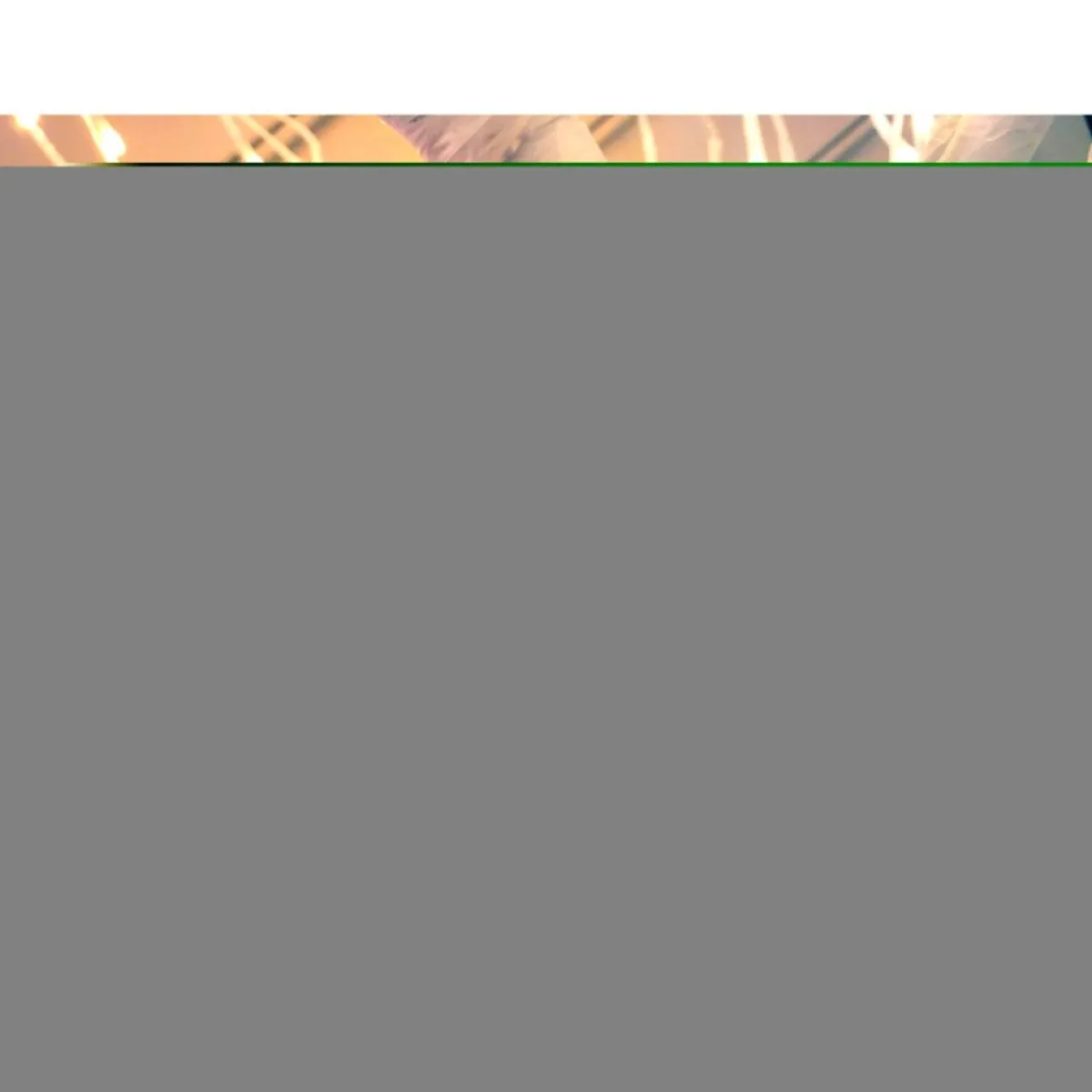 Winter Lane Indoor Decor | As Is 7' Color Changing Willow Tree