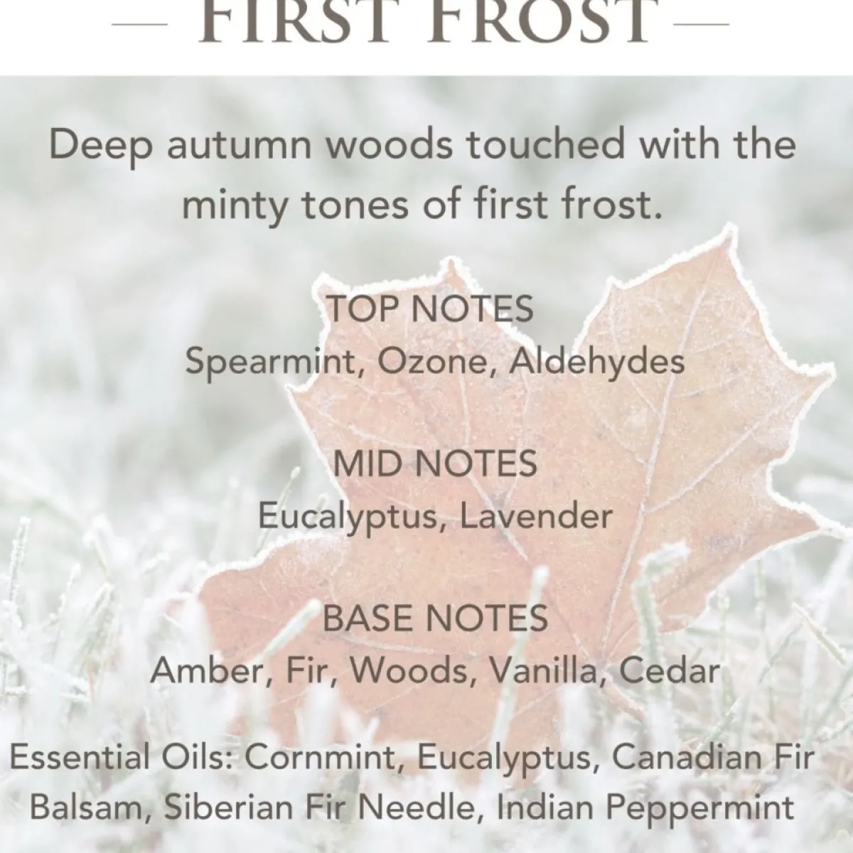 Candle Warmers Candles | Etc. 2.5 Oz. Wax Melts - Balsam Fir & First Frost