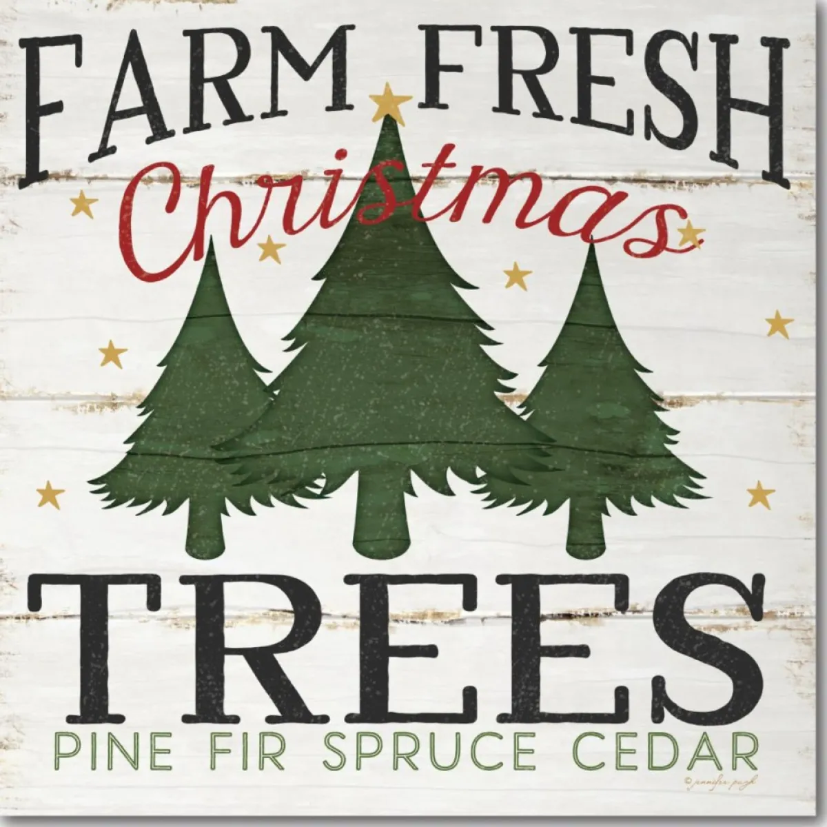 Courtside Market Indoor Decor | Farm Fresh Christmas Trees Canvas Wall Art