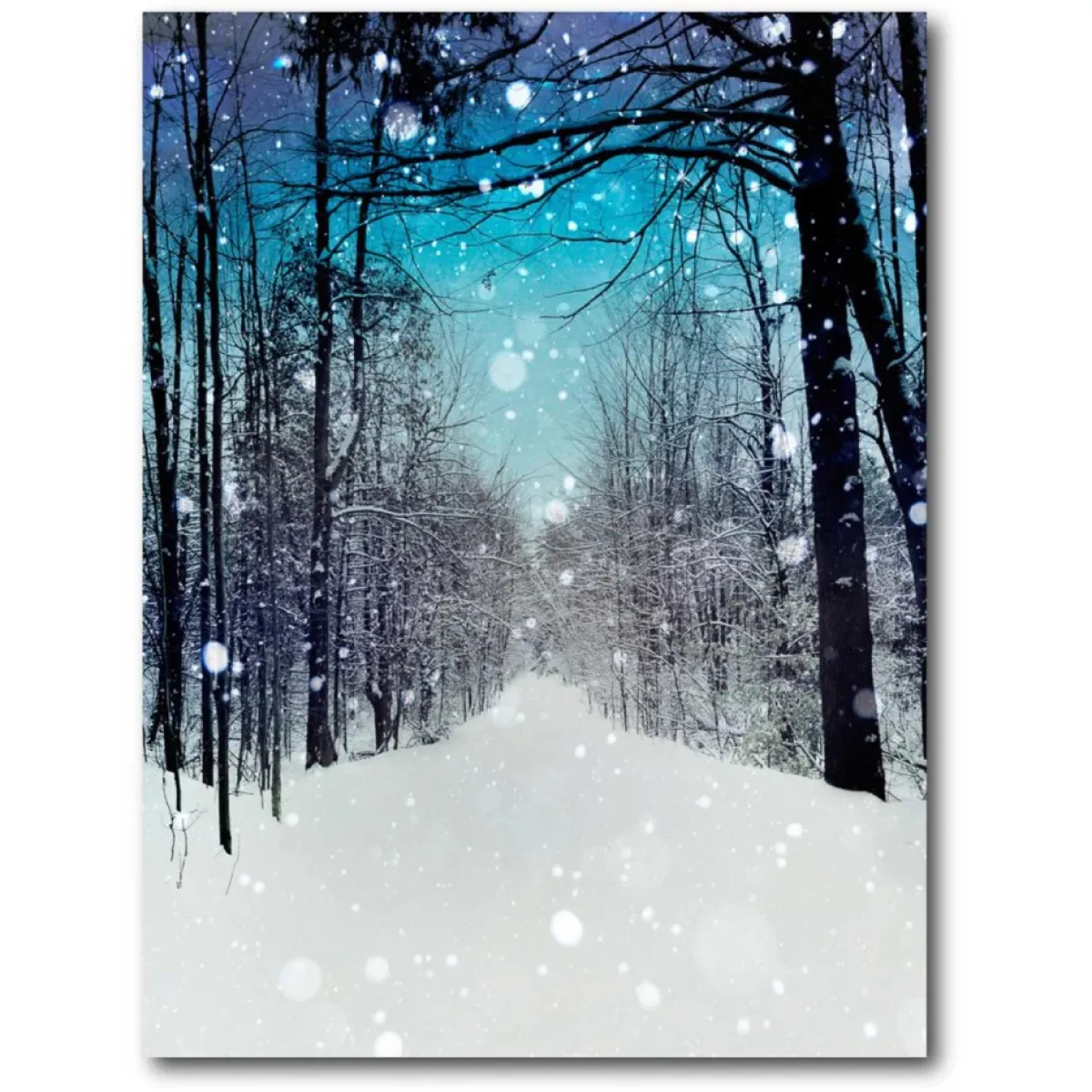 Courtside Market Indoor Decor | Winter Wonderland Canvas Wall Art